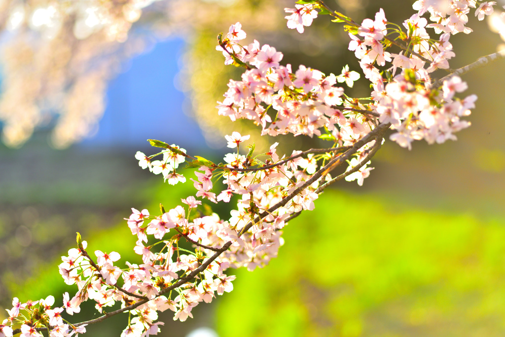 ファイルを開けば蘇る　4月