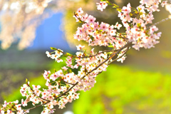 ファイルを開けば蘇る　4月
