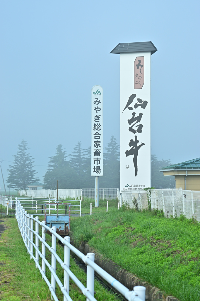 おんべこ市場