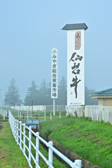 おんべこ市場