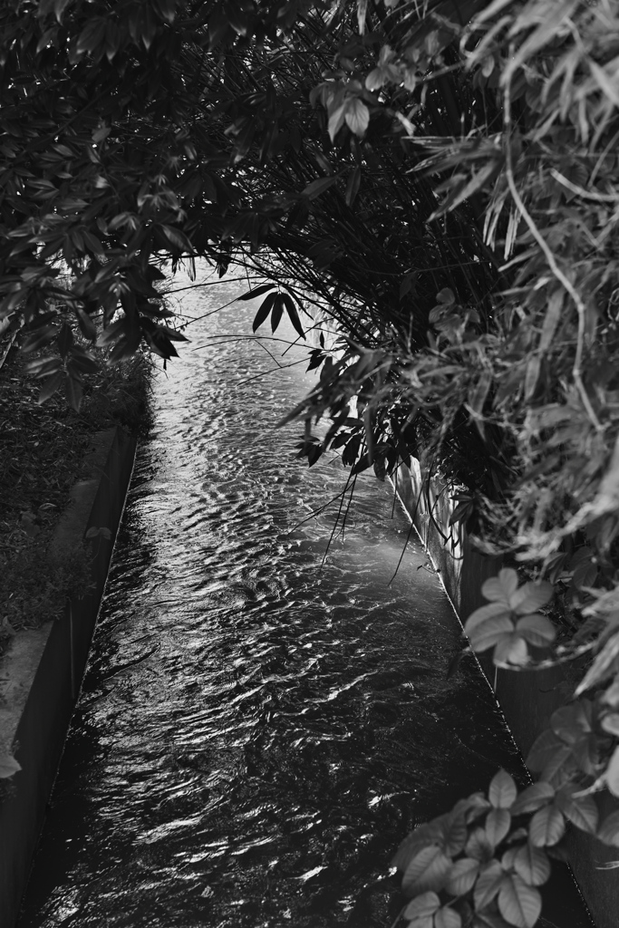 臆さず撮れよ、地味なもの 39