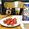 暑気払い