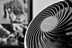 亡き友の写真を背景に試し撮り