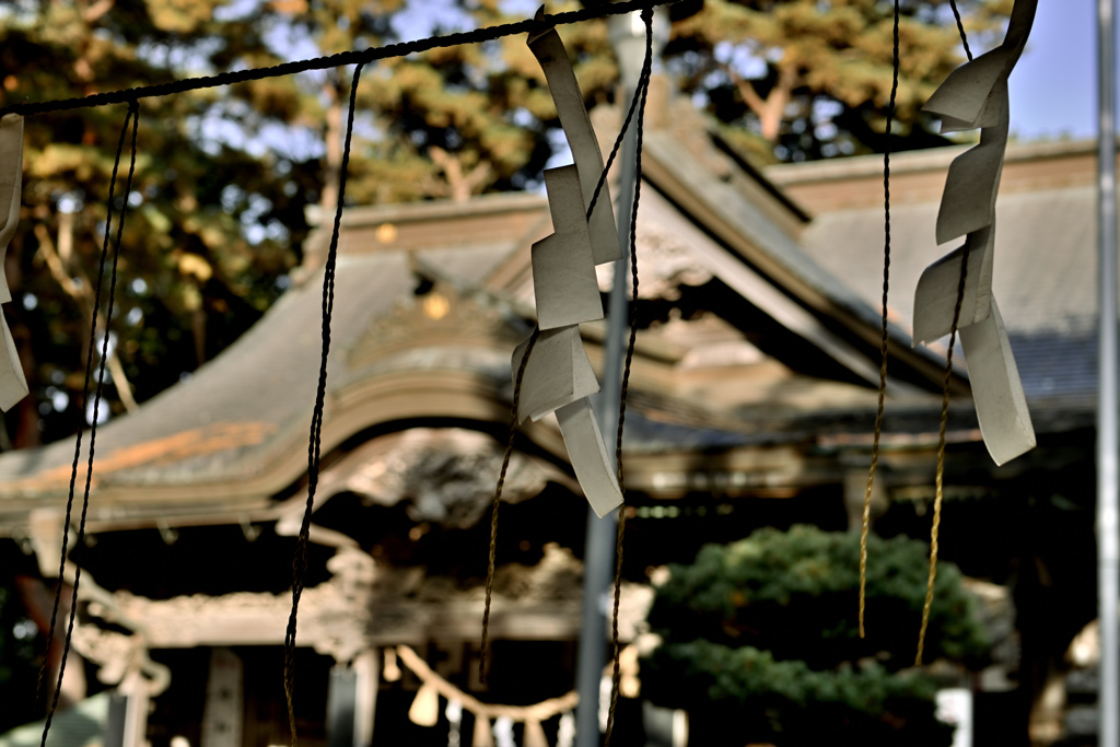 晩秋の山の神 1