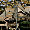 晩秋の山の神 1