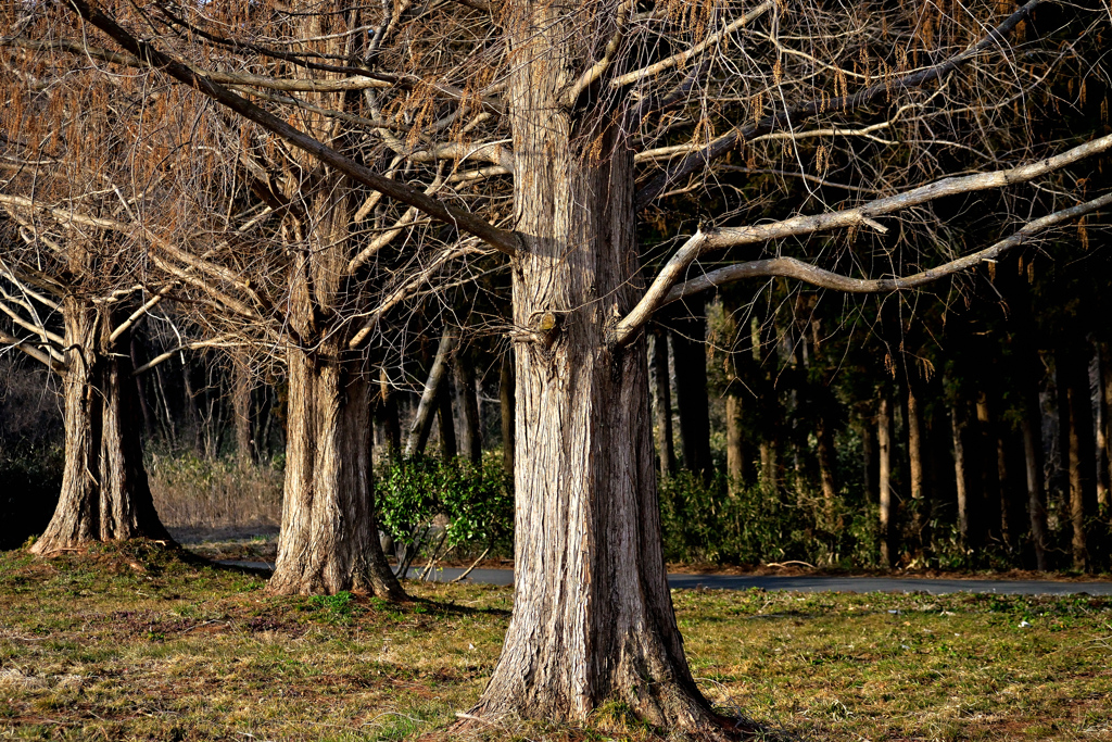 今年を振り返る、3月 ②