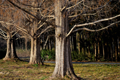 今年を振り返る、3月 ②