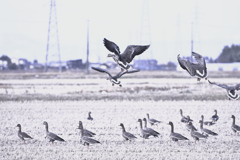 さよなら、また来年