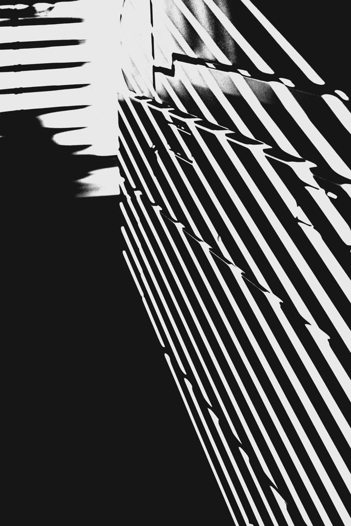 白黒はっきり付けようか