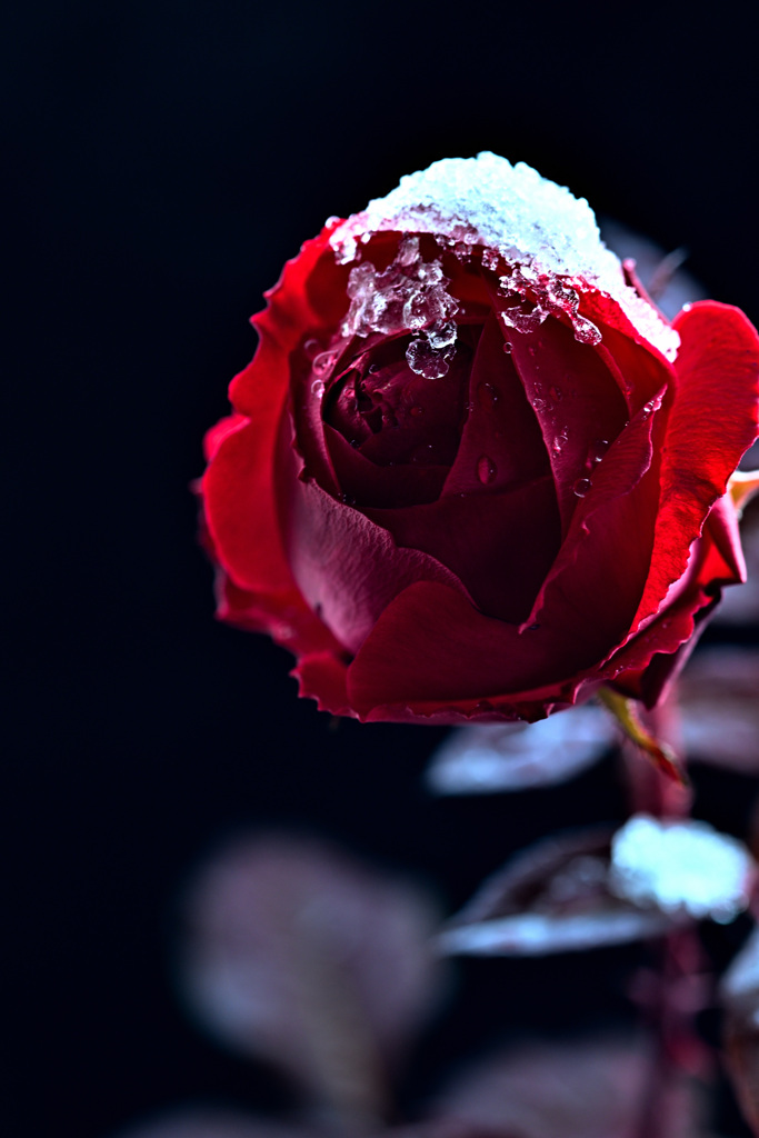 AⅠに聞いてみた