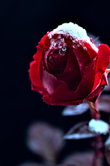 AⅠに聞いてみた