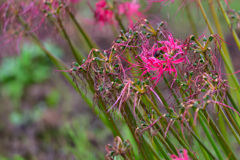 お疲れ、また来年