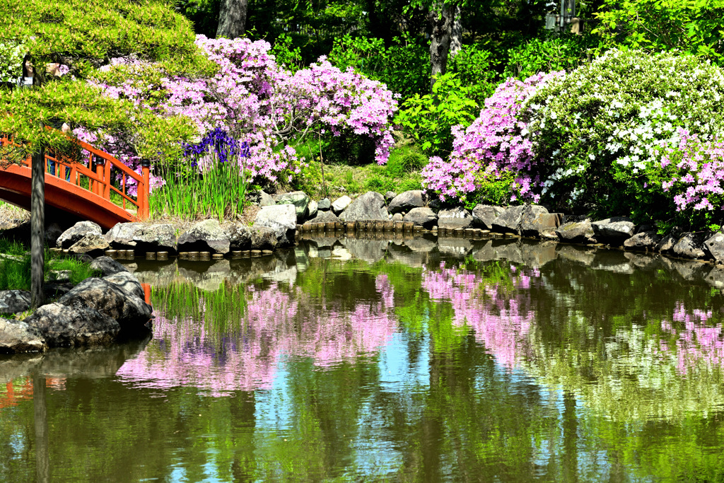 春光の水辺