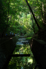 渓谷