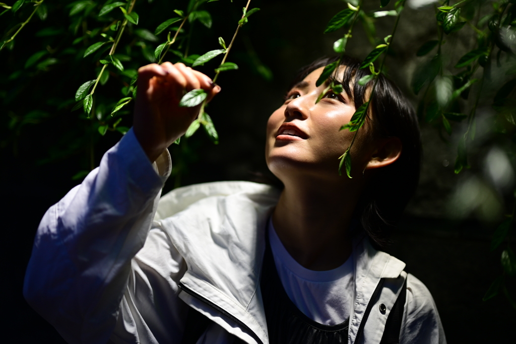 緑雨