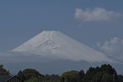 春姿の富士山