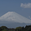 春姿の富士山
