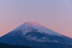 初日に輝き始めて