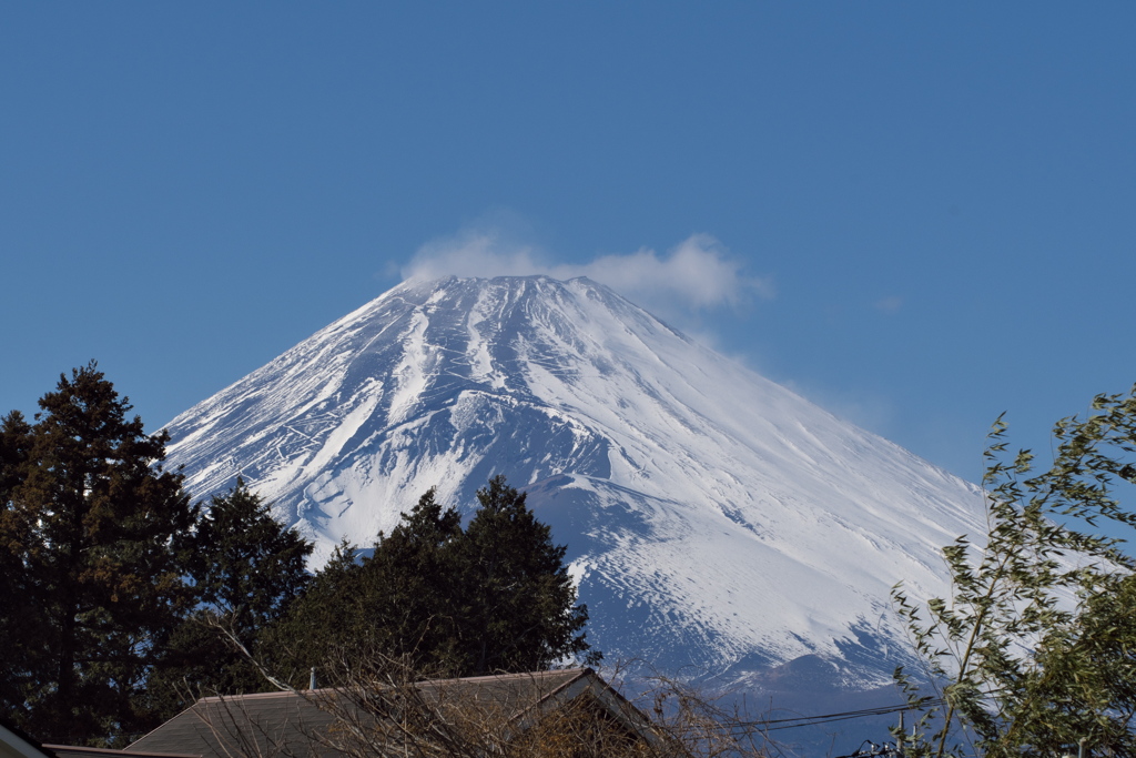 富士山