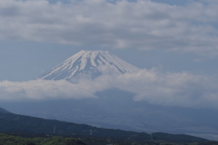 春長閑 富士山