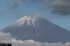 初冠雪富士