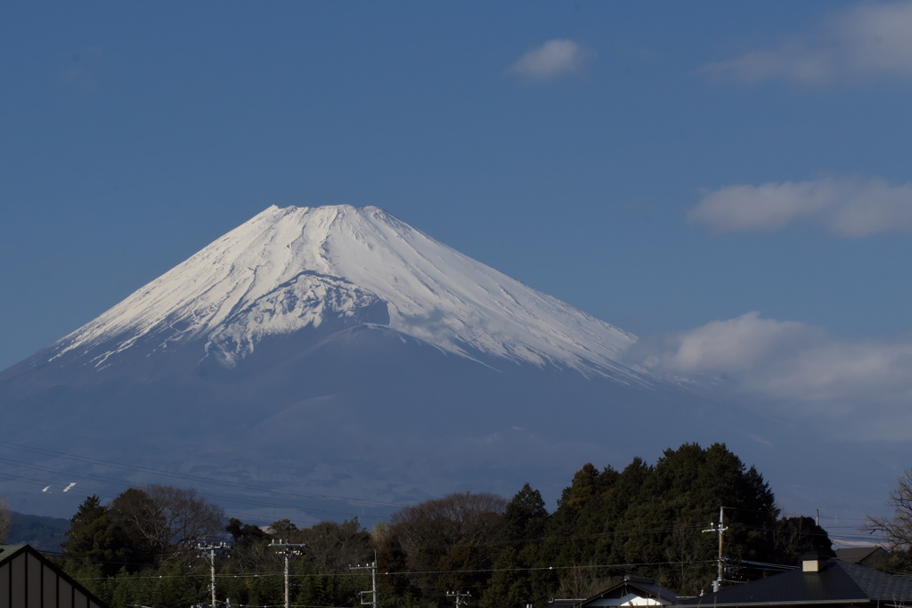 穏やかな春姿の富士山