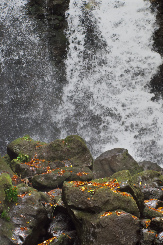 水煙に濡れて