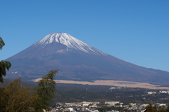 新春の富士山