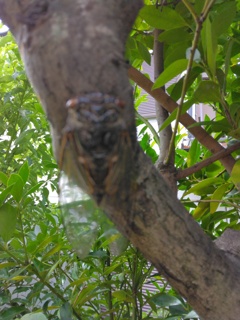 IMG_20220806_110333