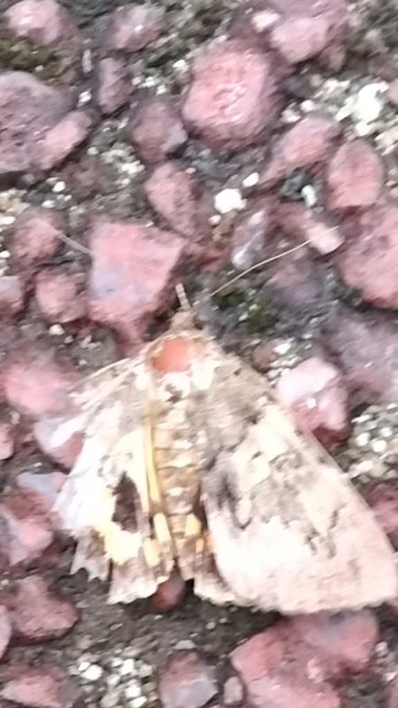 お疲れさま