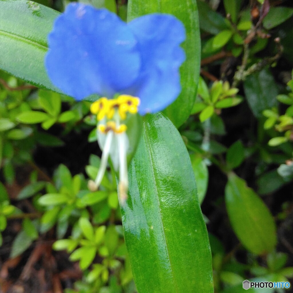 IMG_20220804_001703_973