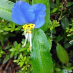 IMG_20220804_001703_973