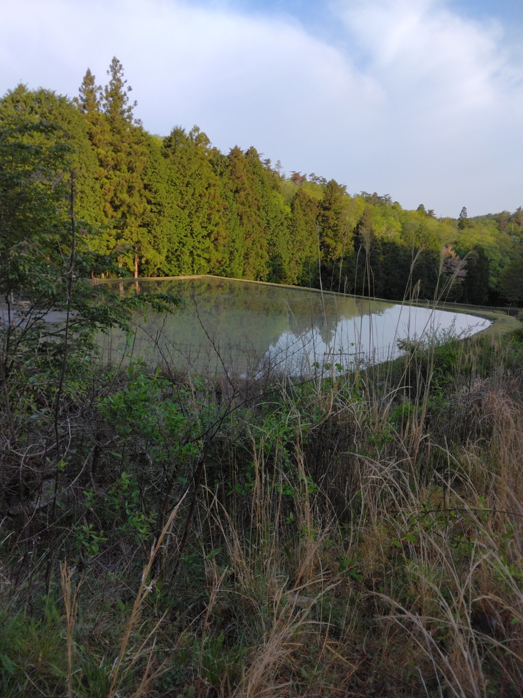 　水を張った棚田