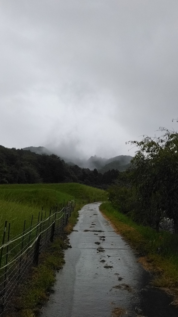 雨ばかり