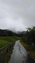 雨ばかり
