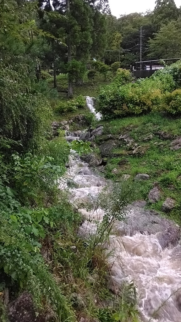 大雨