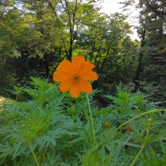 IMG_20220805_062834_116