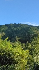 夏の六所山