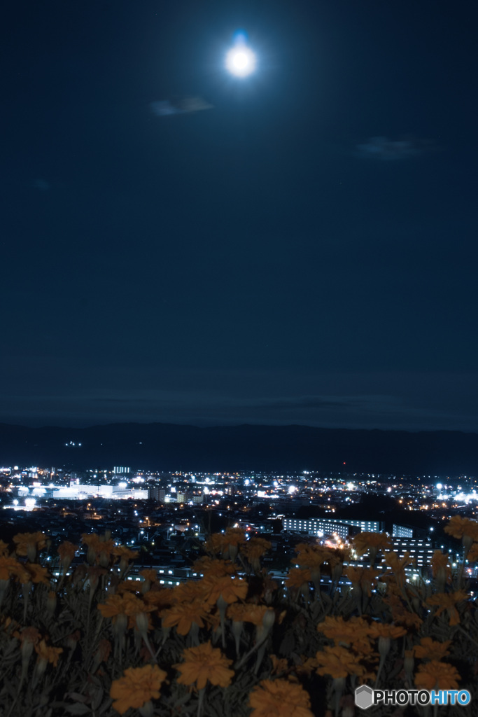 夜景と月1