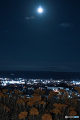 夜景と月1