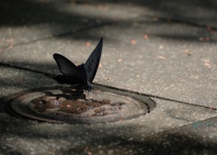 水分補給