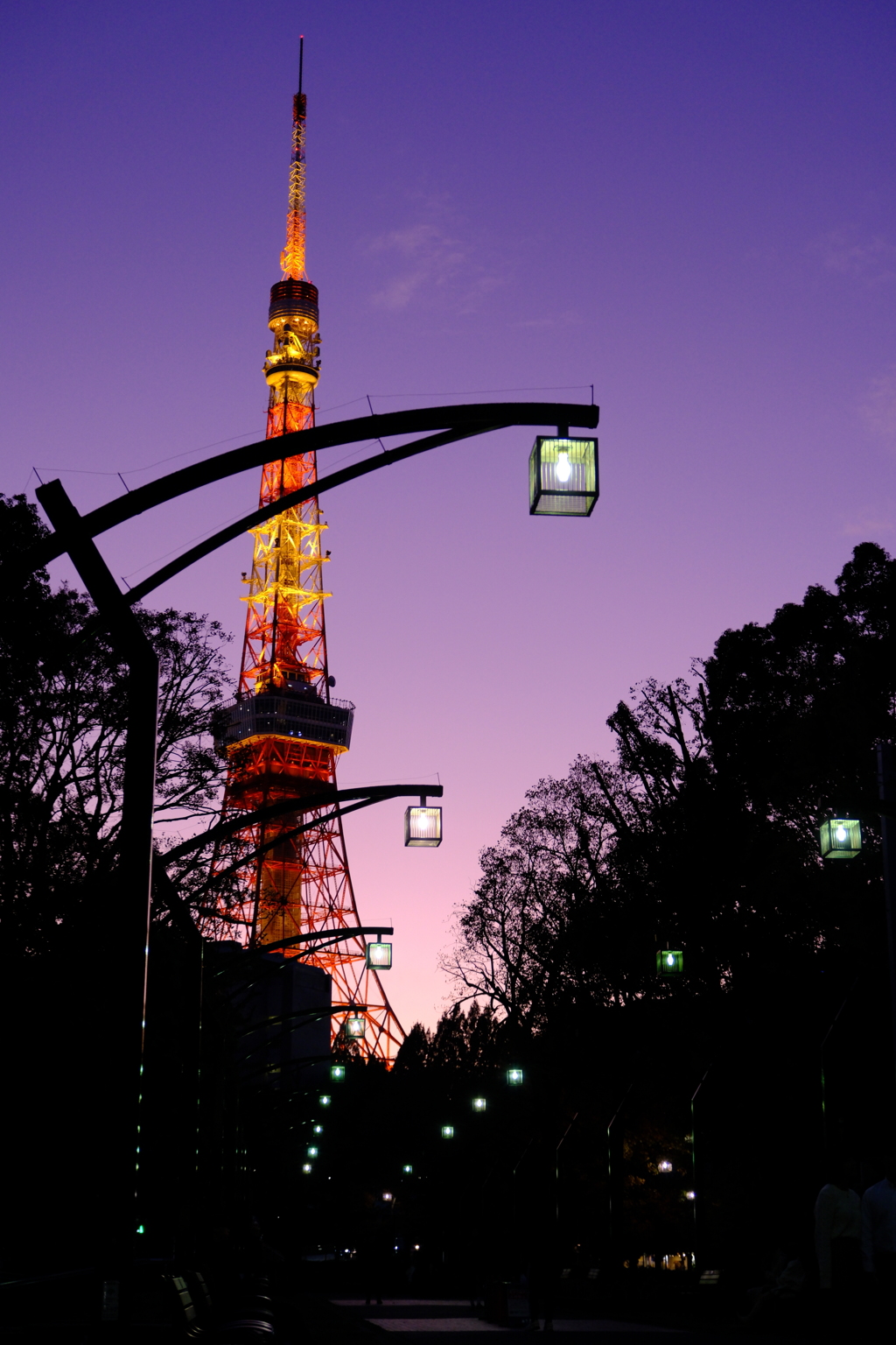 芝公園の景色