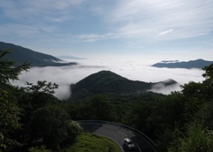 いろは坂から見た雲海