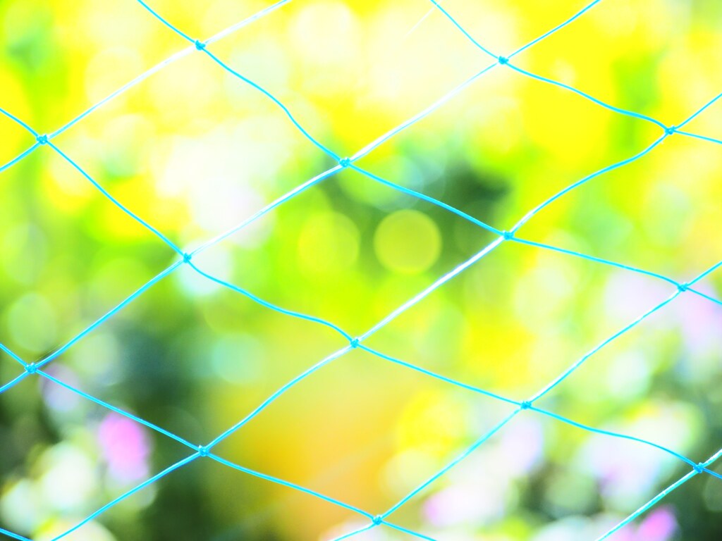 ふんわりあかるい