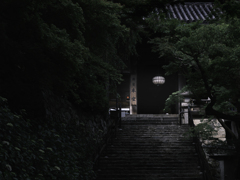 新緑の長谷寺-本堂への階段