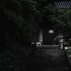 新緑の長谷寺-本堂への階段
