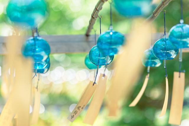 物・雑貨写真集