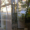 dusk through the glass