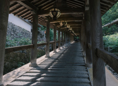 新緑の長谷寺-登廊