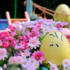 USJ-Easter Egg